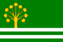 Lužec nad Cidlinou - Drapeau