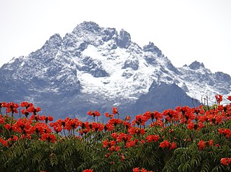 Bolivar Peak, the highest mountain in Venezuela Flores para la Nieve.JPG