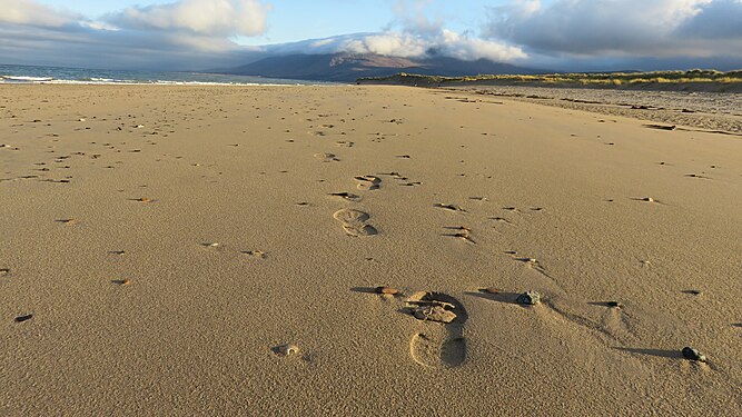 Footprints in the sand, County Kerry, Ireland.