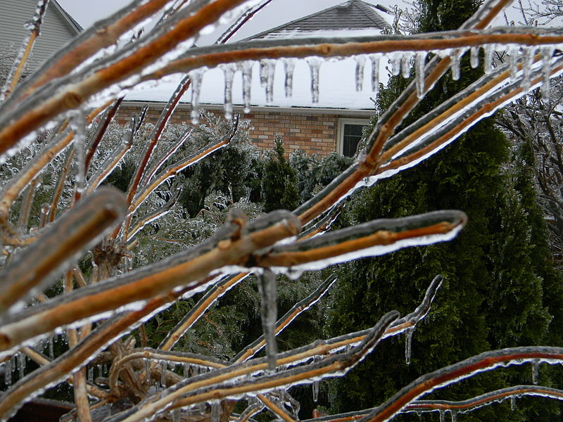 File:Freezing Rain in Canada 2013 3.JPG