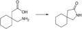 Gabapentin Lactamisierung