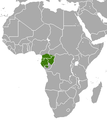 Gabon Bushbaby area.png