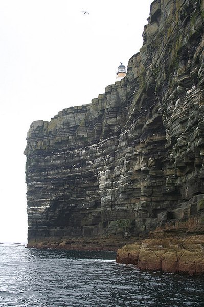 File:Gannet over Noup Head lighthouse. - geograph.org.uk - 530281.jpg