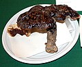 Miniatura Ganoderma carnosum