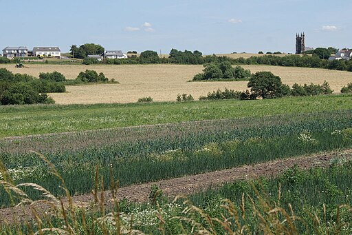 Gaw Hill from Booth's Lane, Aughton - geograph.org.uk - 4552580