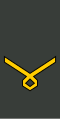 Georgia-Army-OR-8.svg