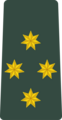კაპიტანი K’ap’it’ani[7] (Georgian Land Forces)