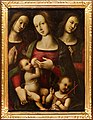 Girolamo del pacchia, madonna col bambino, san giovannino e due angeli, 1505-10 ca. (siena, coll. priv.).jpg