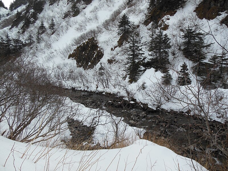 File:Gold Creek near Juneau, AK.JPG