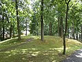 "Monenberg" burial mound, Mkz.  4008.38