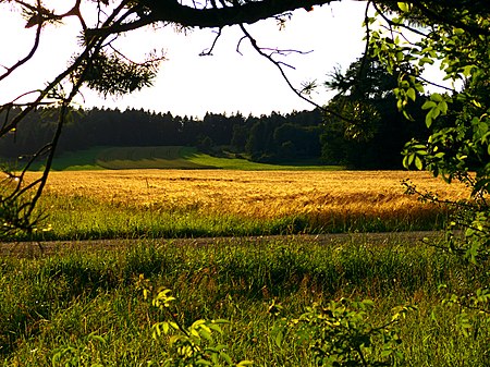 Grasmutter panoramio