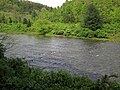 Greenbrier River (downstream from Durbin, West Virginia, USA) 6 (27170723773).jpg