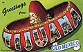 Greetings from Tijuana in Old Mexico - Large Letter Postcard.jpg