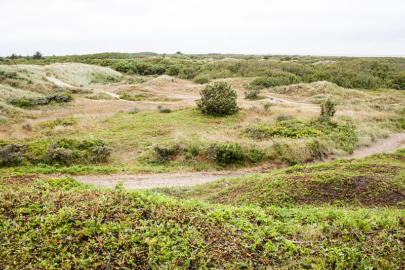 File:Grenen 2015-07-28-3.jpg