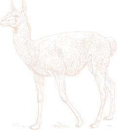 File:Guanaco underlay.svg