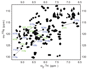 H- N HSQC spectrum of a fragment of an isotopically labeled protein NleG3-2. Each peak in the spectrum represents a bonded N-H pair, with its two coordinates corresponding to the chemical shifts of each of the H and N atoms. HSQC-NMR.tiff