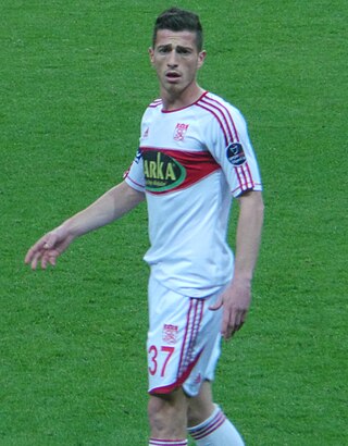 <span class="mw-page-title-main">Hakan Arslan</span> Turkish footballer