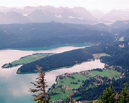 Halbinsel Zwergern Walchensee