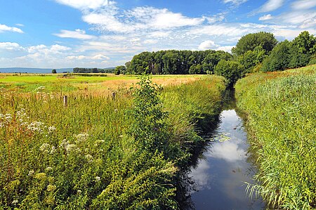 Haller am Haarberg