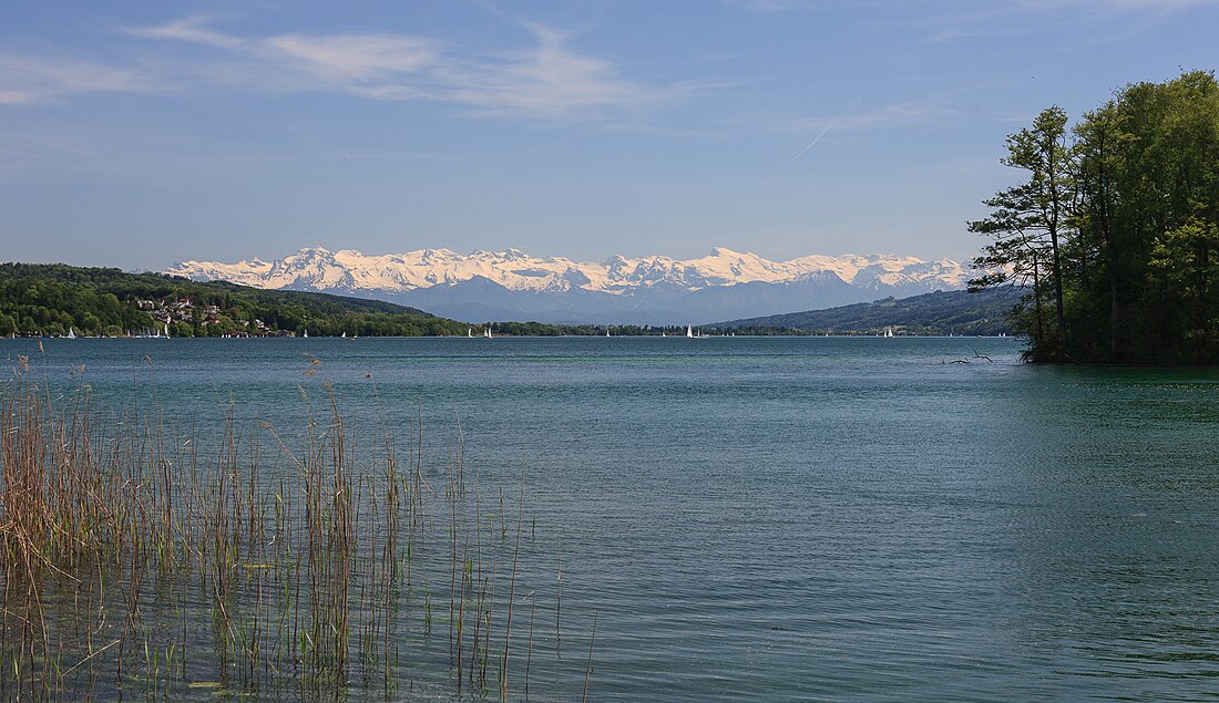 File:HallwilerSee-2.jpg