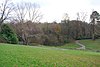 Hilbert Woods Nature Reserve - geograph.org.uk - 1070374.jpg