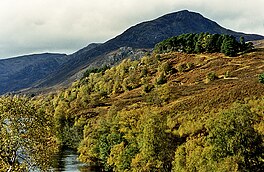 Bukit di atas Loch Affric - geograph.org.inggris - 1467962.jpg