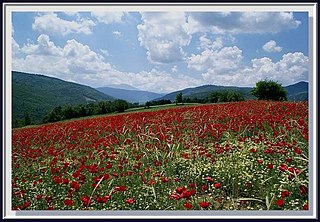 Ilgaz,  Чанкыры, Турция