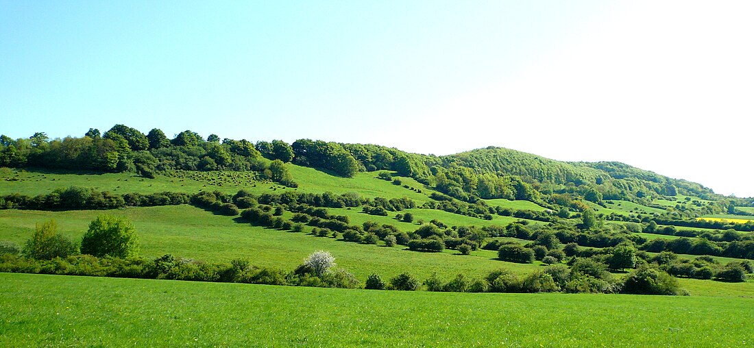 Holzberg, Denkiehäuser Wald, Heukenberg