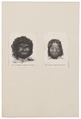 Homo sapiens - Aboriginal, Australië - 1700-1880 - Print - Iconographia Zoologica - Special Collections University of Amsterdam - UBA01 IZ19500011.tif