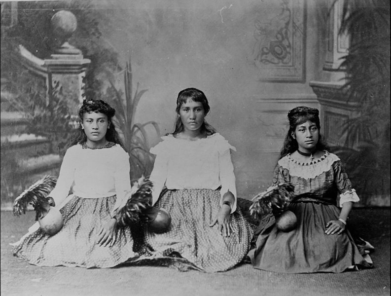 File:Hula dancers, possibly from King Kalakaua's court, Hawaii, ca. 1885 (PP-32-9a-035).jpg