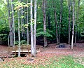 Hungry Mother State Park Picnic Area (15185677406).jpg