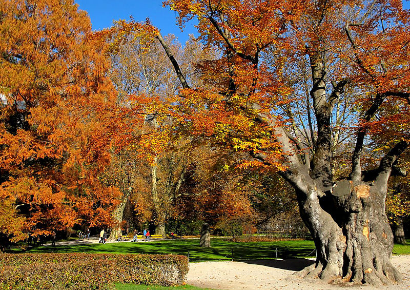 File:IA Hofgarten A.jpg