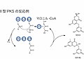 2007年12月15日 (土) 05:47時点における版のサムネイル