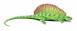Restoration of the Carboniferous synapsid (mammal precursor) Ianthasaurus Ianthasaurus BW.jpg