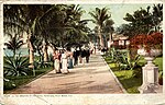 Thumbnail for File:In the Grounds of the Royal Poinciana (NBY 7969).jpg