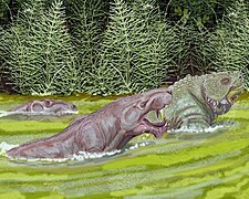 Reconstitution par D. Bogdanov de deux Inostrancevia latifrons chassant un Scutosaurus à la nage.