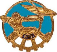 Insigne de l'École de formation des sous-officiers de l'Armée de l'air (EFSOAA).jpg