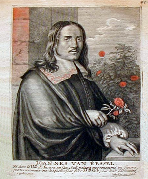 File:Jan van Kessel - gulden cabinet.png