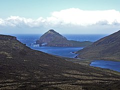 Neuseeland: Geographie, Flora und Fauna, Bevölkerung