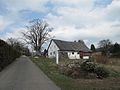 Čeština: Památný strom javor klen (Acer pseudoplatanus) v Bohdalovicích. Okres Jablonec nad Nisou, Česká republika.