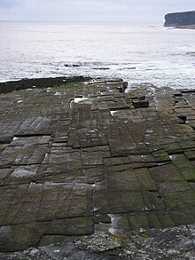 Orthogonal joint sets on a bedding plane in flagstones, Caithness, Scotland Joints Caithness.JPG