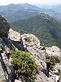 Summit of Puy Griou (1694 m), Cantal, France