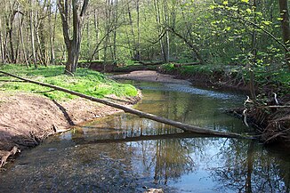 Köllerbach near Völklingen