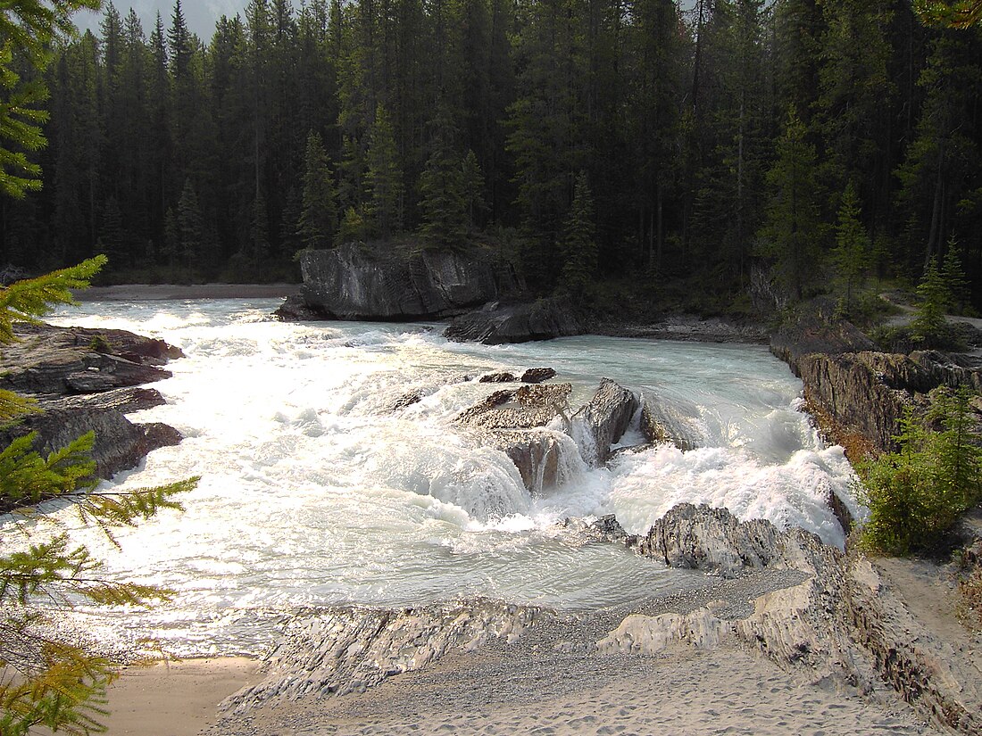 Kicking Horse River