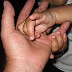 Kiki's and daddy's hand(s).jpg