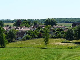 Los círculos de la torre blanca