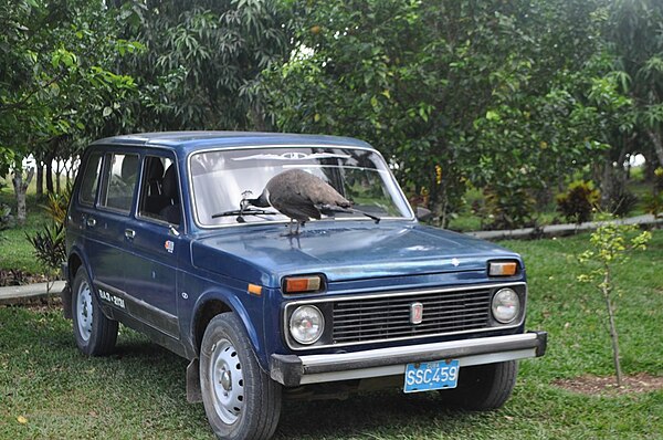 Five-door station wagon (VAZ-2131) in Cuba