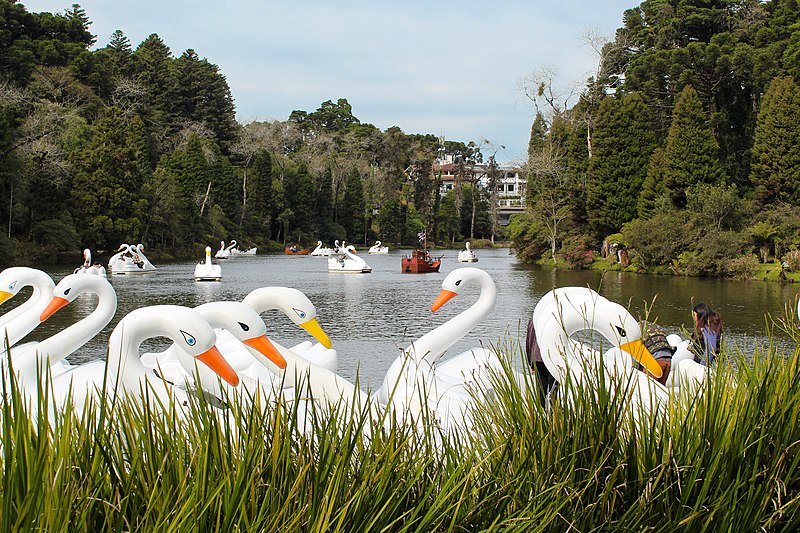 File:Lago Negro Gramado.jpg