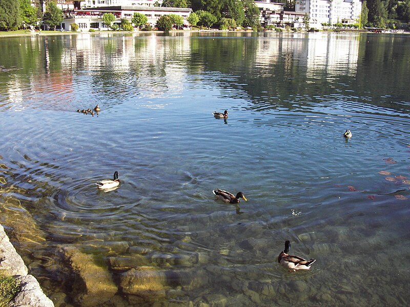 File:Lake Bled.JPG