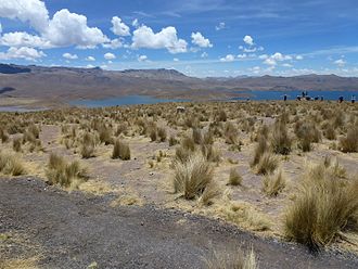 Lagunillas Lake Lagunillas Perou (4).jpg